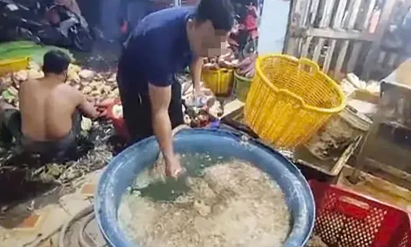 Bắp chuối sau khi bào sẽ được ngâm vào hóa chất để tẩy trắng. Ảnh CACC