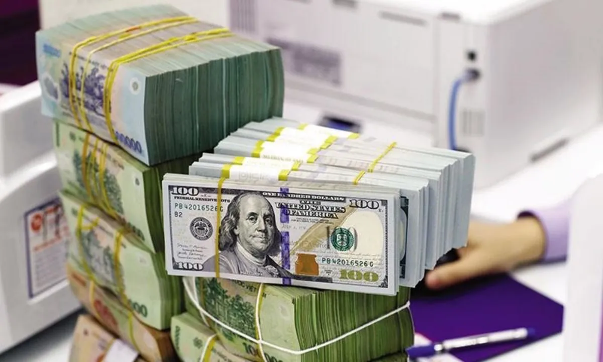 Lý do tiền đồng mất giá giữa lúc USD suy yếu?