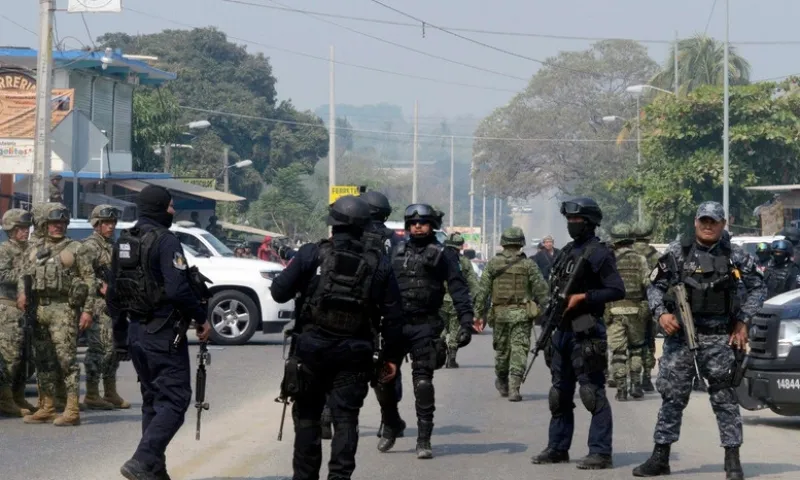 Binh sy Mexico 2