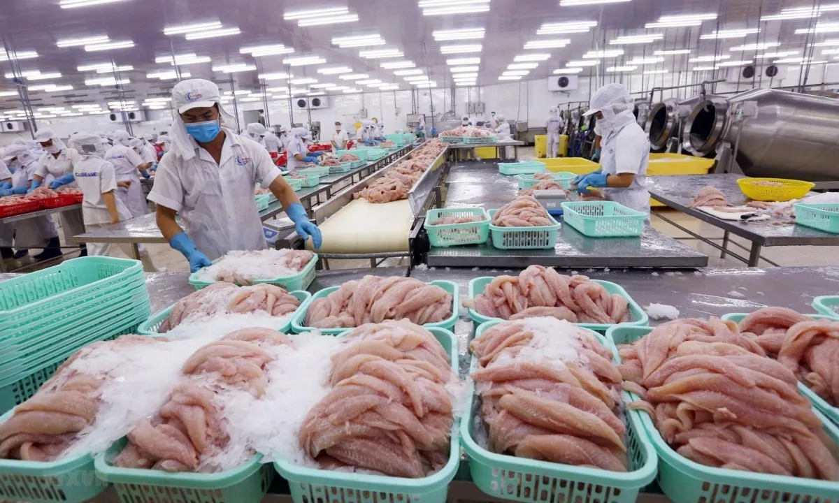 r-1-17313711911831028558101 (1)