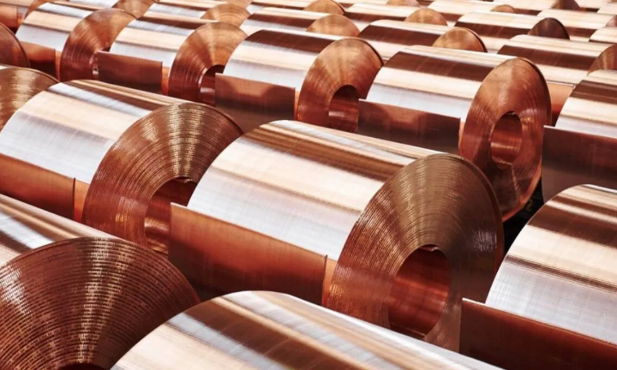 0409_dong-phe-lieu-gia-bao-nhieu-tien-1kg1