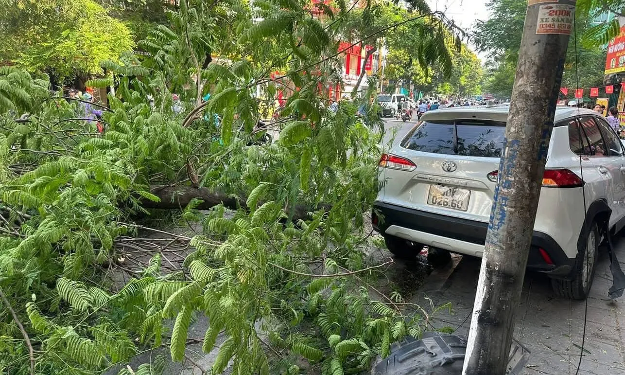 Nữ tài xế gây tai nạn liên hoàn ở Hà Nội không vi phạm nồng độ cồn, ma túy