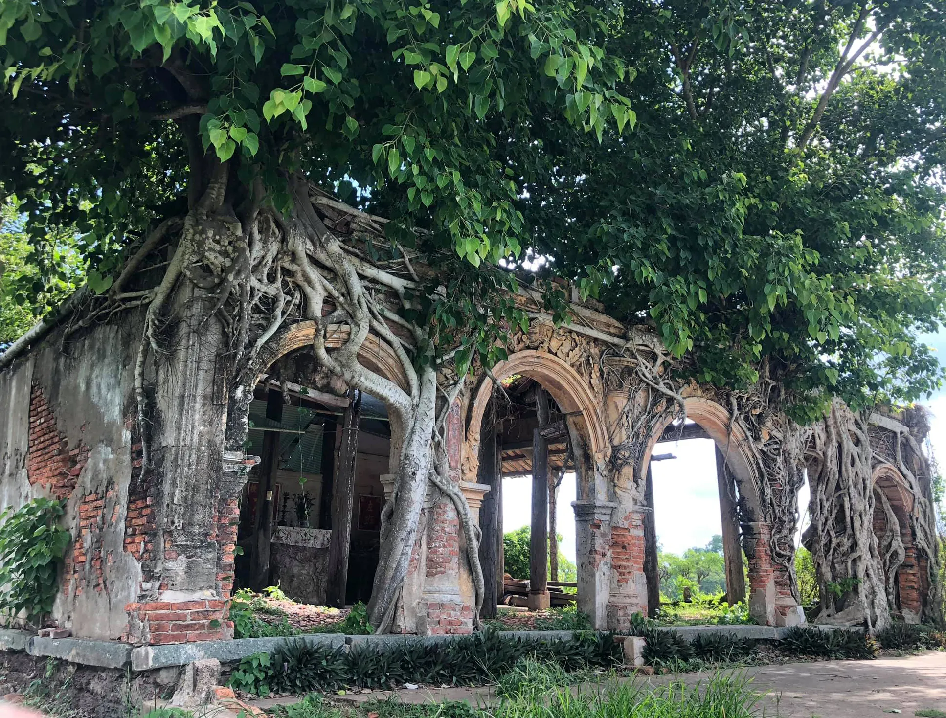 Đình Tân Đông-2