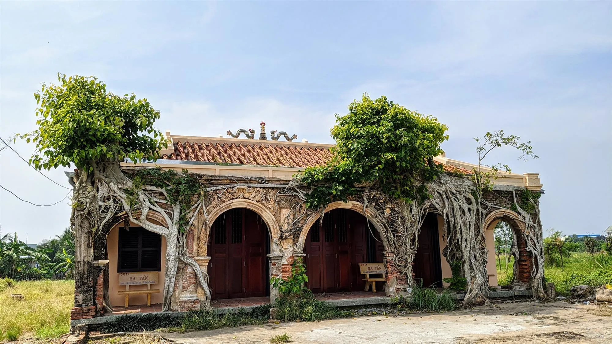 Đình Tân Đông-3