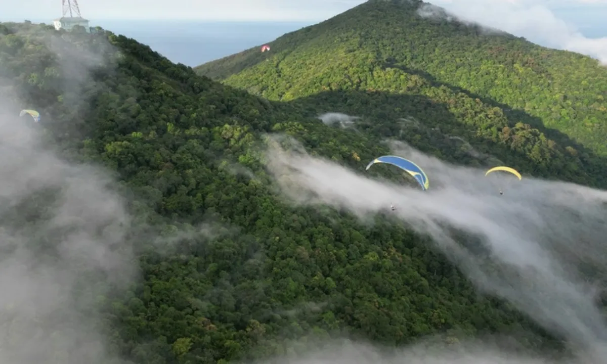 Dừng bay dù lượn ở Sơn Trà sau tai nạn chết người