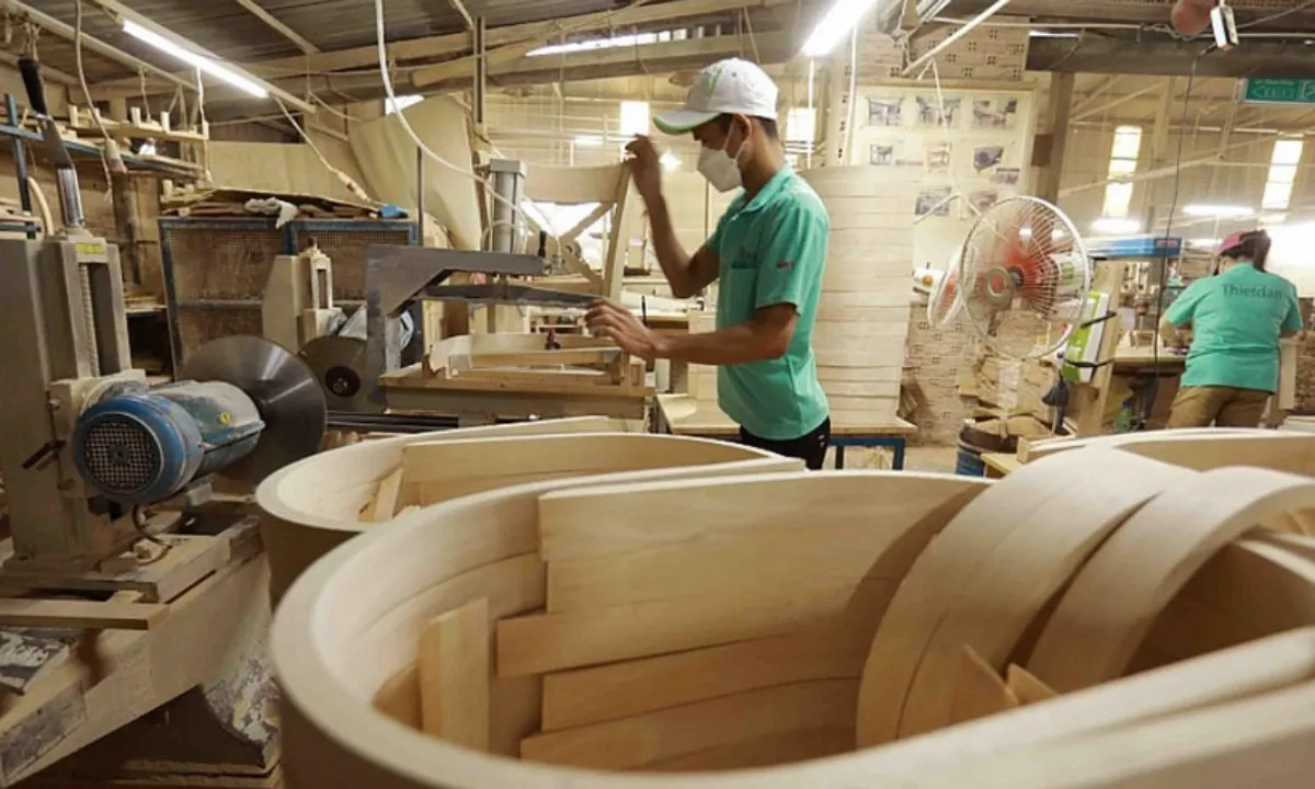 Việt Nam công bố danh mục mới 919 loài gỗ nhập khẩu