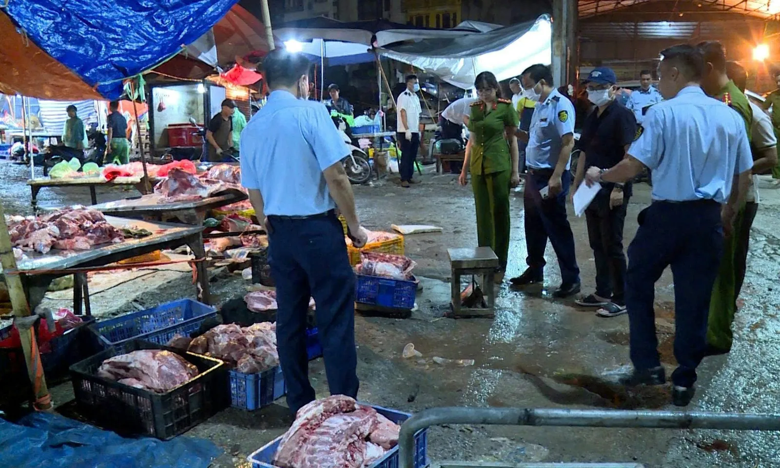 Tạm giữ hình sự nhiều đối tượng buôn bán heo chết, heo bệnh 