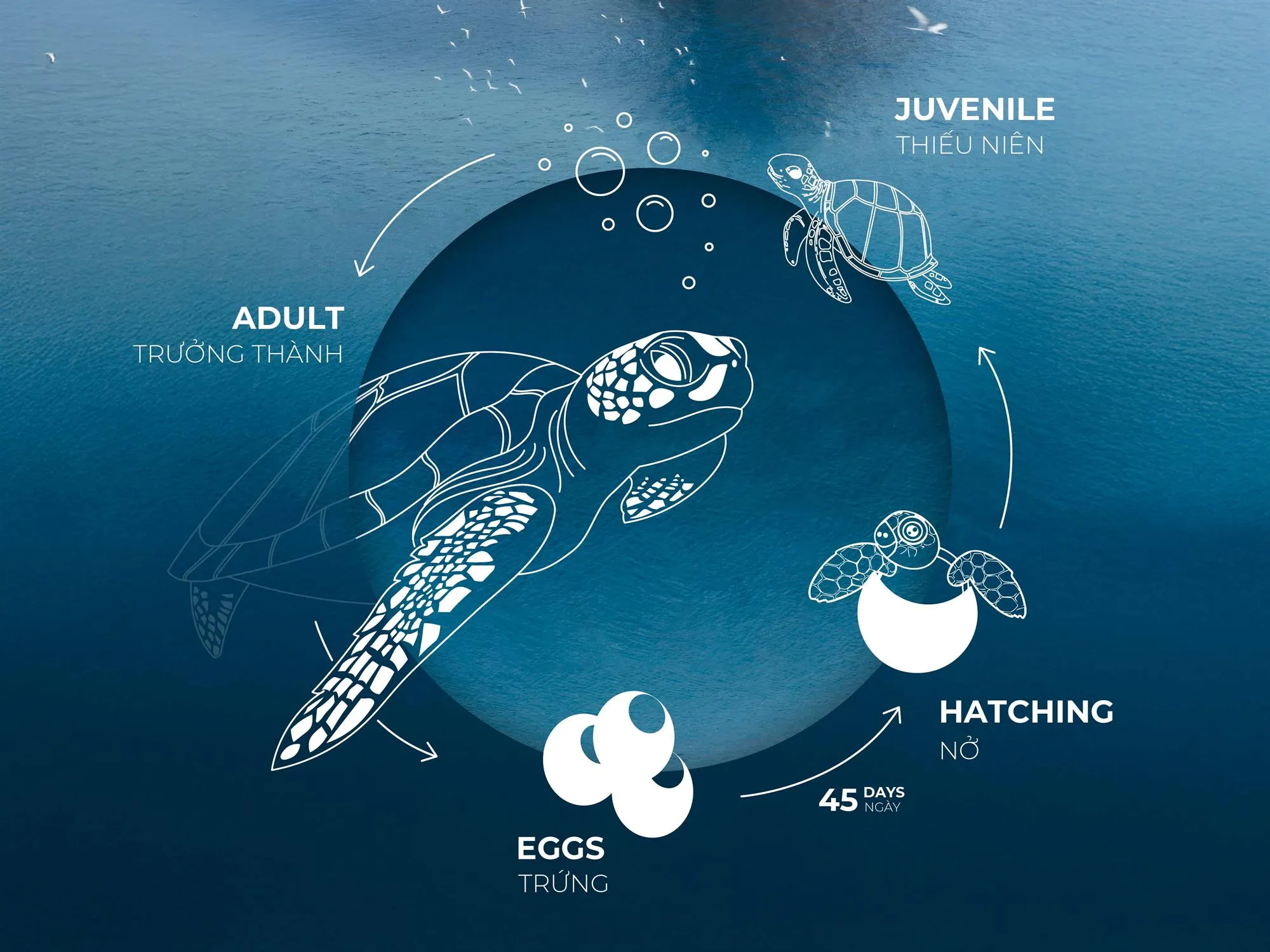 hinh-3_20250709101743