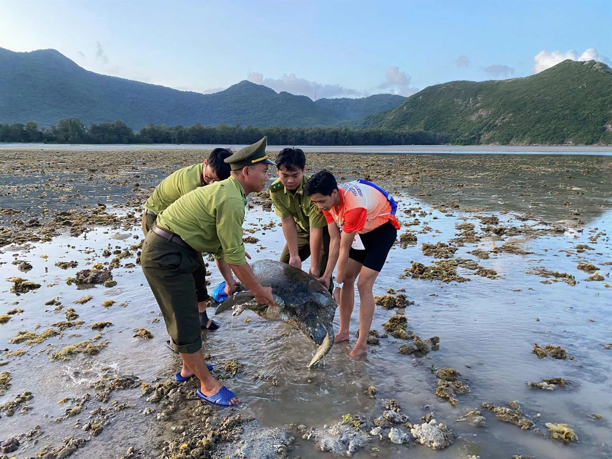 hinh-4_20250709101821