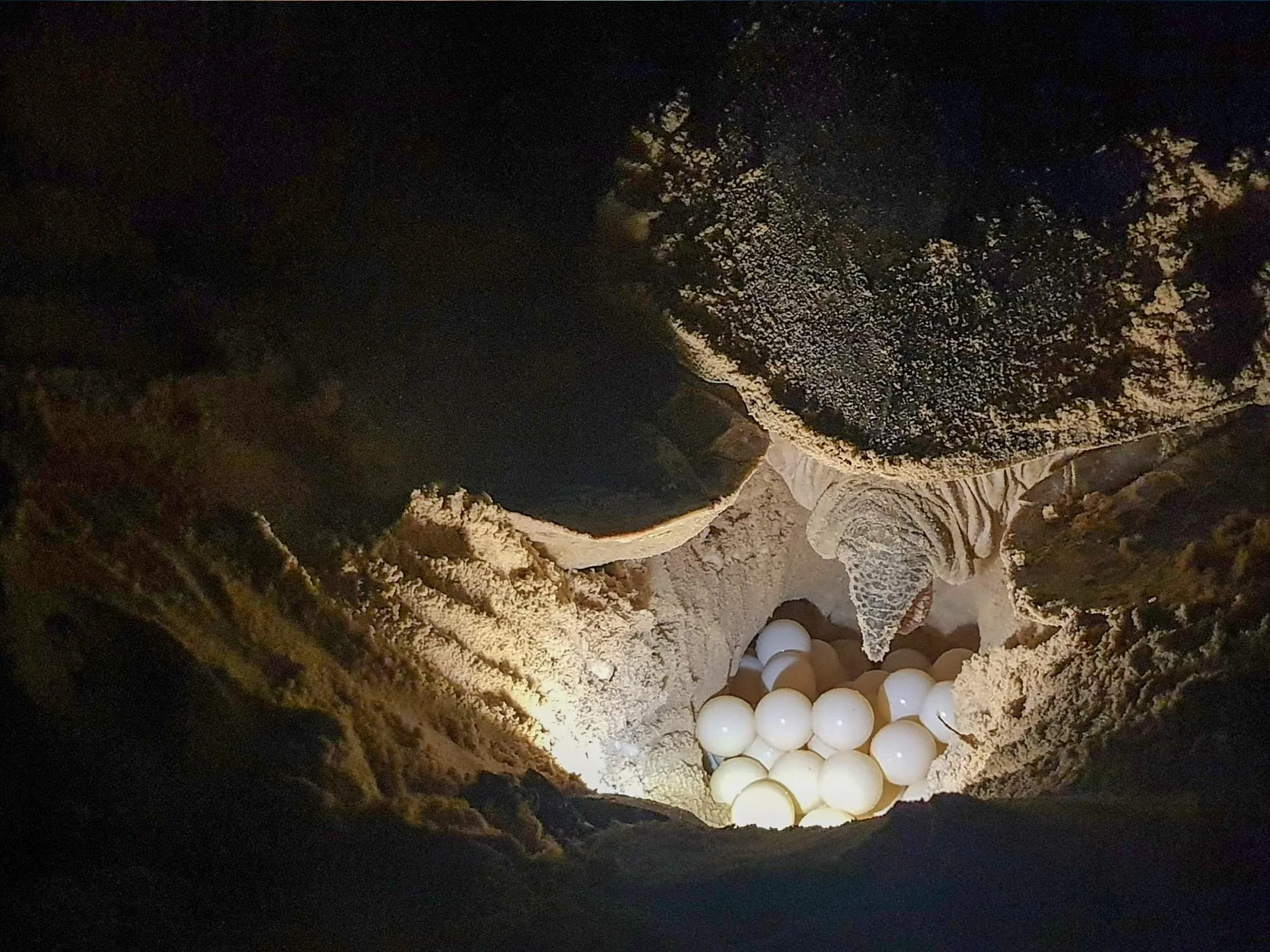 hinh-5_20250709101827