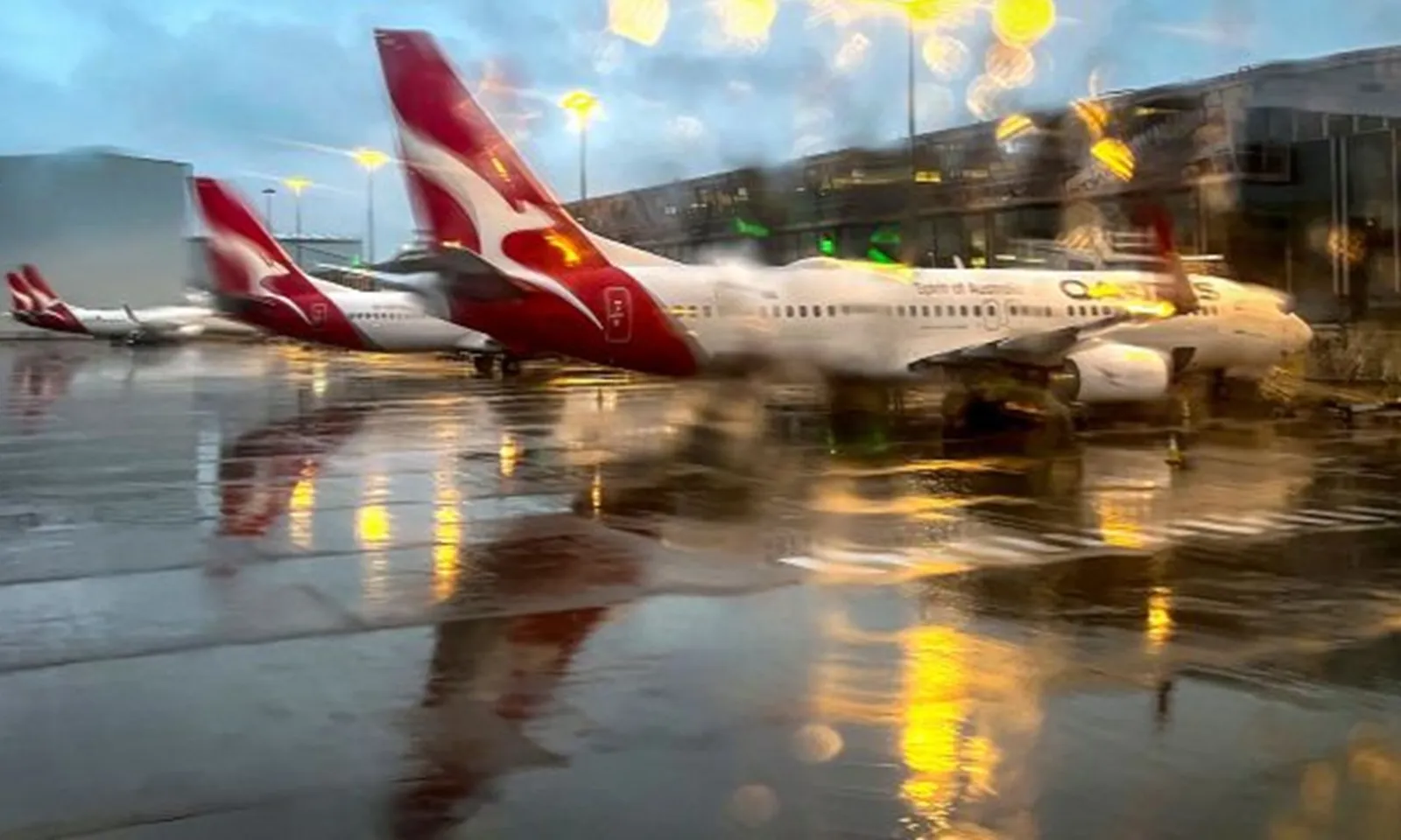 Hãng hàng không Qantas bị tấn công mạng, thông tin của gần 6 triệu khách hàng bị rò rỉ