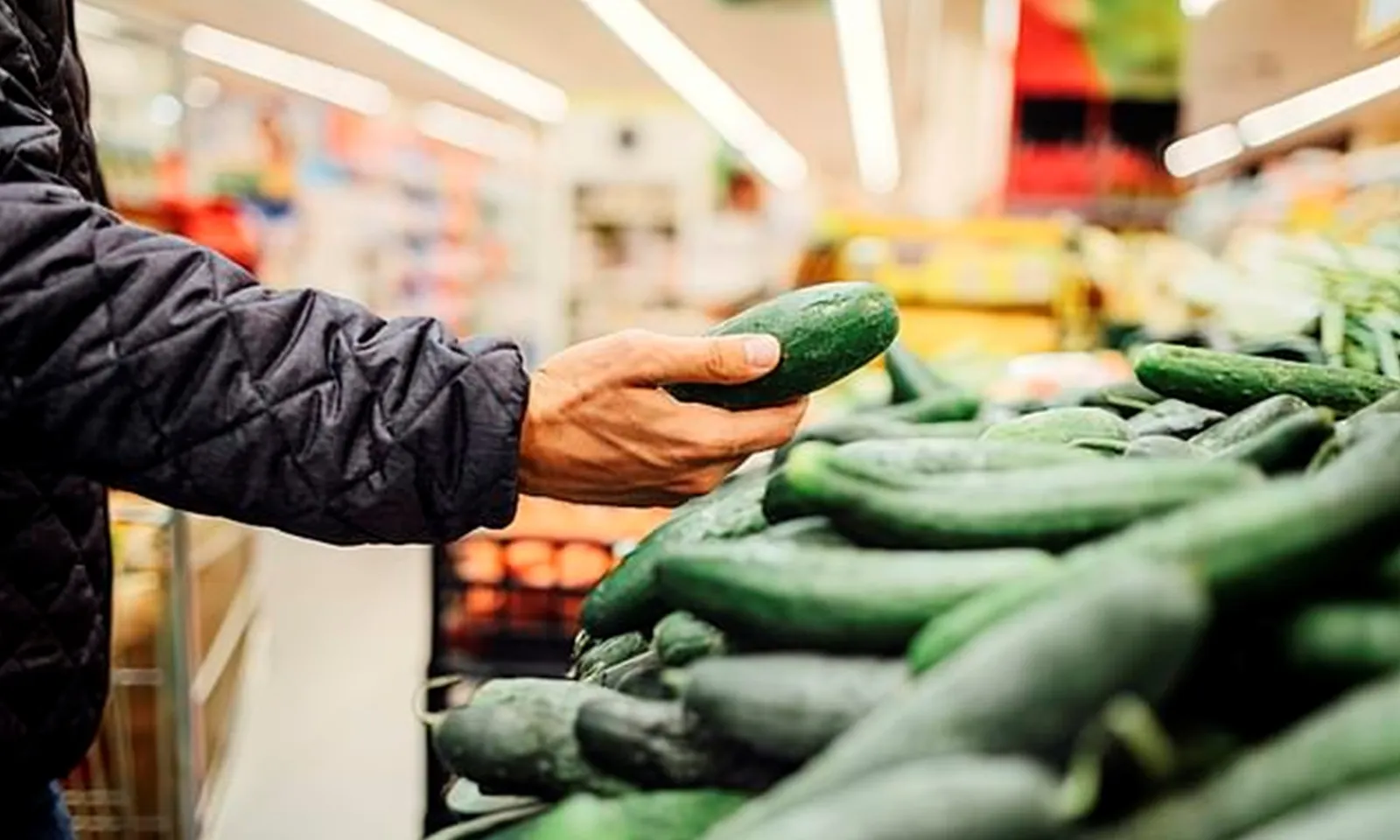 Mỹ thu hồi khẩn cấp dưa chuột vì nhiễm độc chết người