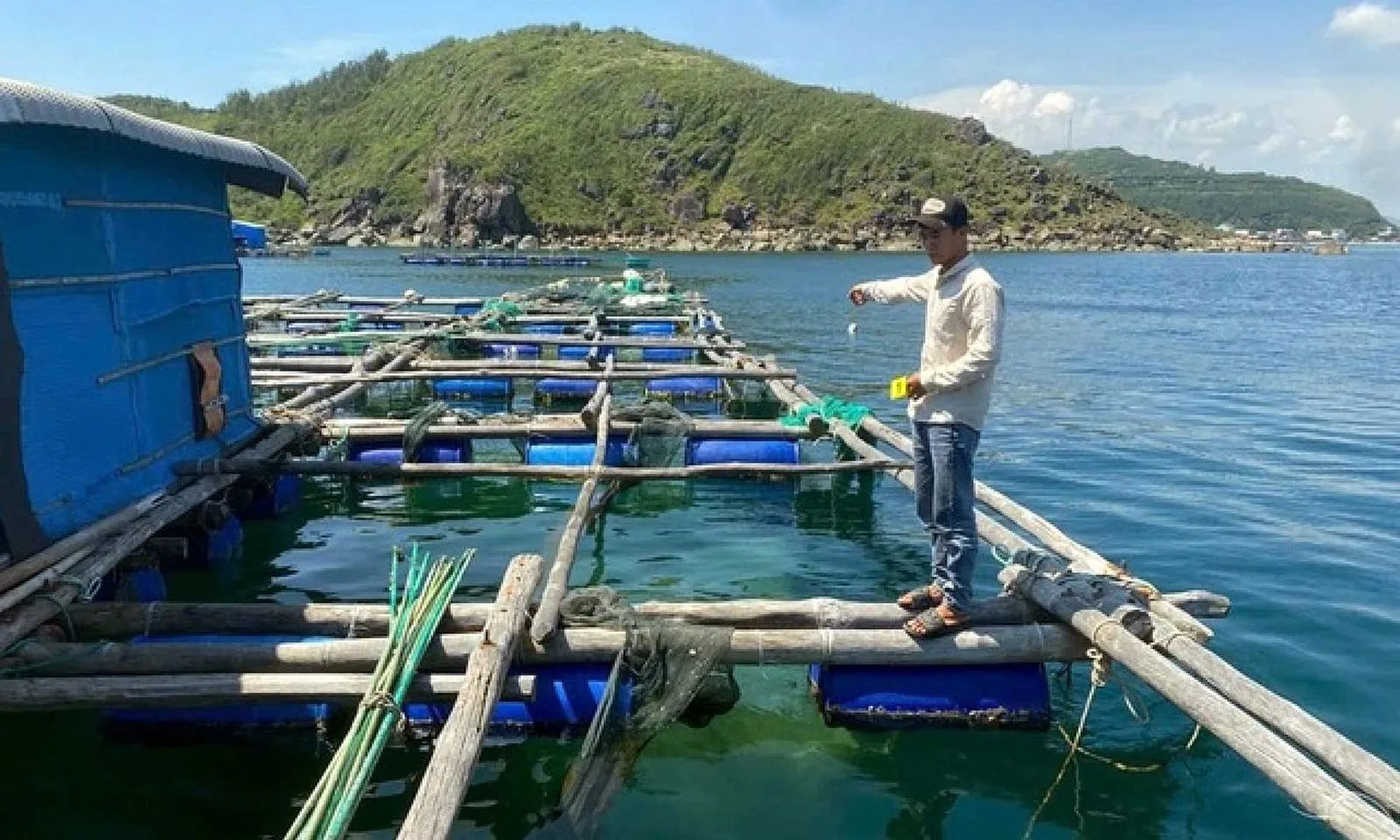 Bắt tạm giam nhóm đối tượng trộm cắp tôm hùm trị giá hơn 300 triệu đồng