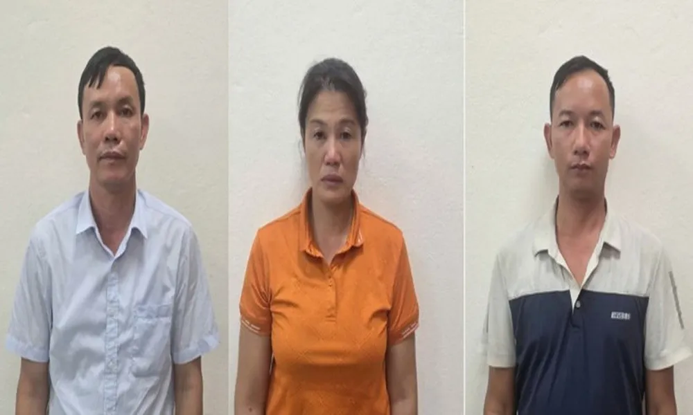 Lãnh đạo doanh nghiệp lâm nghiệp bị bắt vì khai thác gỗ tự nhiên không phép