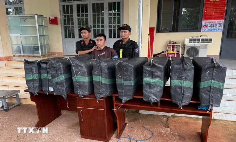 Phát hiện, thu giữ 200kg pháo lậu trên xe bán tải ở Đồng Nai