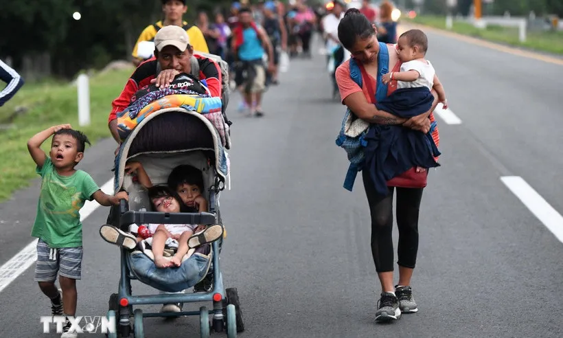 Chính quyền Trump siết chặt phúc lợi liên bang đối với người nhập cư bất hợp pháp