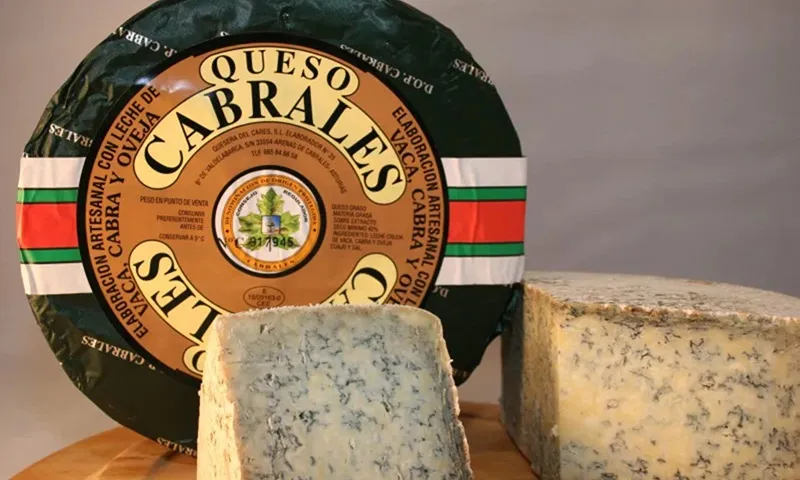 Phô mai đắt nhất thế giới được bán với giá 42. 232 USD