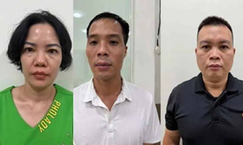 cò mồi bệnh viện