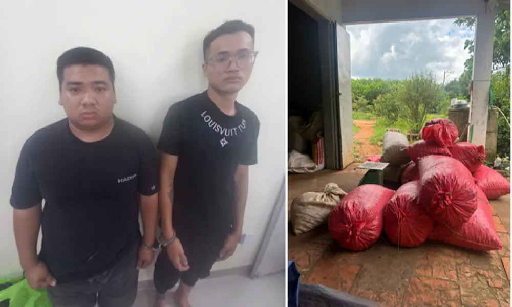 Truy bắt thành công hai đối tượng trộm cắp hạt điều quy mô lớn ở Đồng Nai