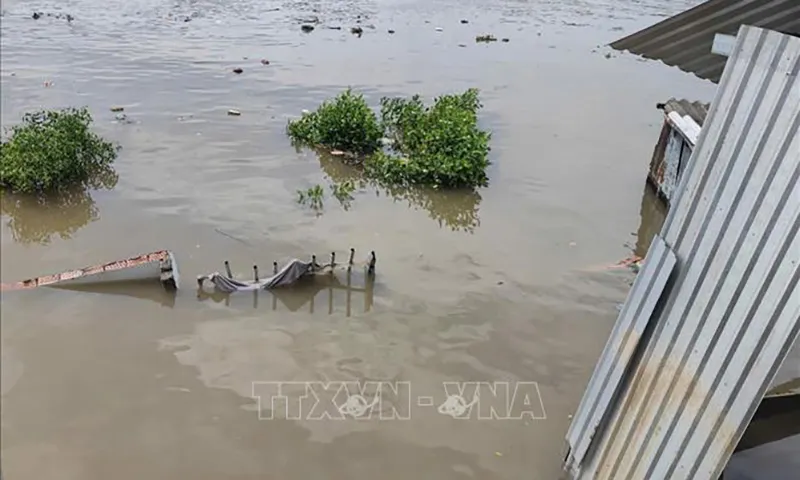 Hiện trường vụ sạt lở nhà dân trôi xuống sông Bạc Liêu - Cà Mau, đoạn qua địa bàn phường Giá Rai, tỉnh Cà Mau. Ảnh TTXVN