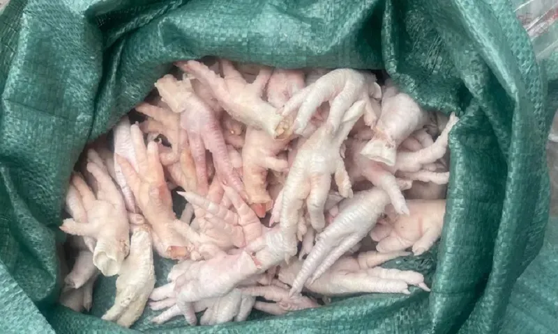 Thanh Hóa: Phát hiện và tạm giữ 7 tấn chân gà ngâm hóa chất 