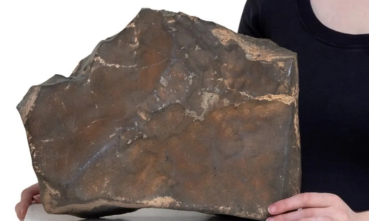 Sotheby’s đấu giá mảnh sao hỏa lớn nhất rơi xuống trái đất