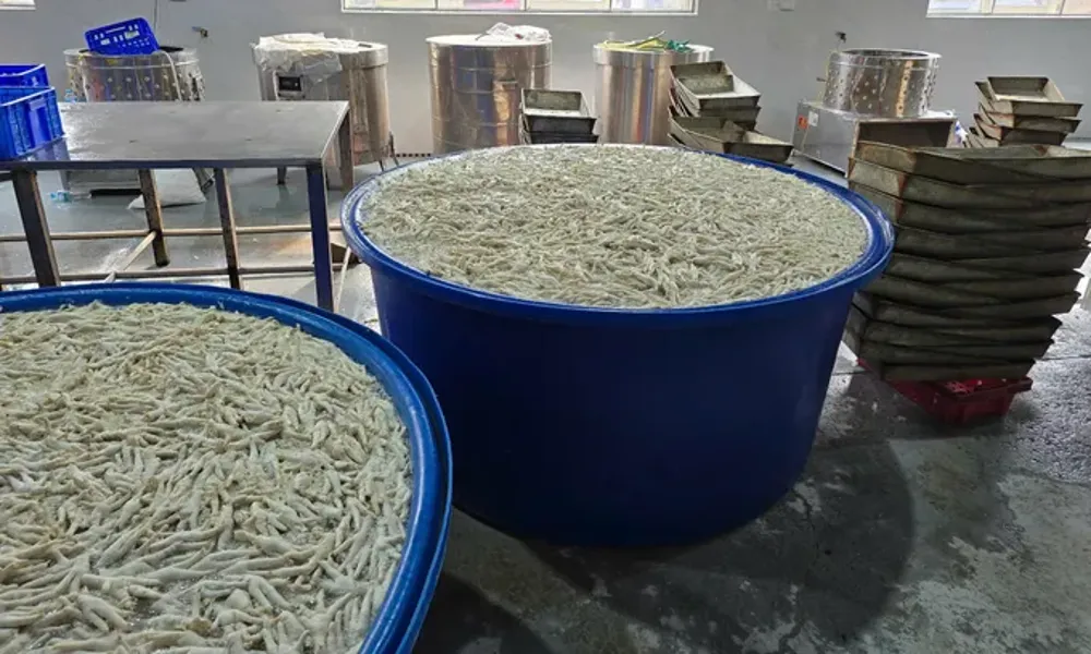 Thanh Hóa: Tạm giữ 13 tấn chân gà, nhiều lô ngâm hóa chất tẩy trắng
