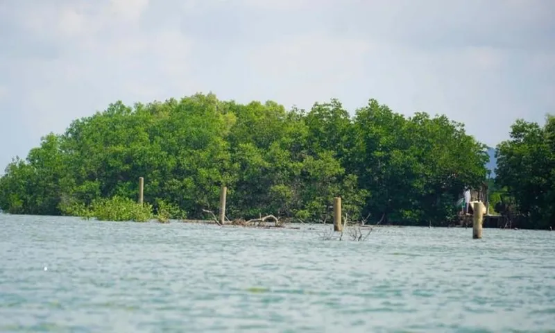 TPHCM yêu cầu dừng đóng cọc bê tông trái phép trên sông Ba Cội