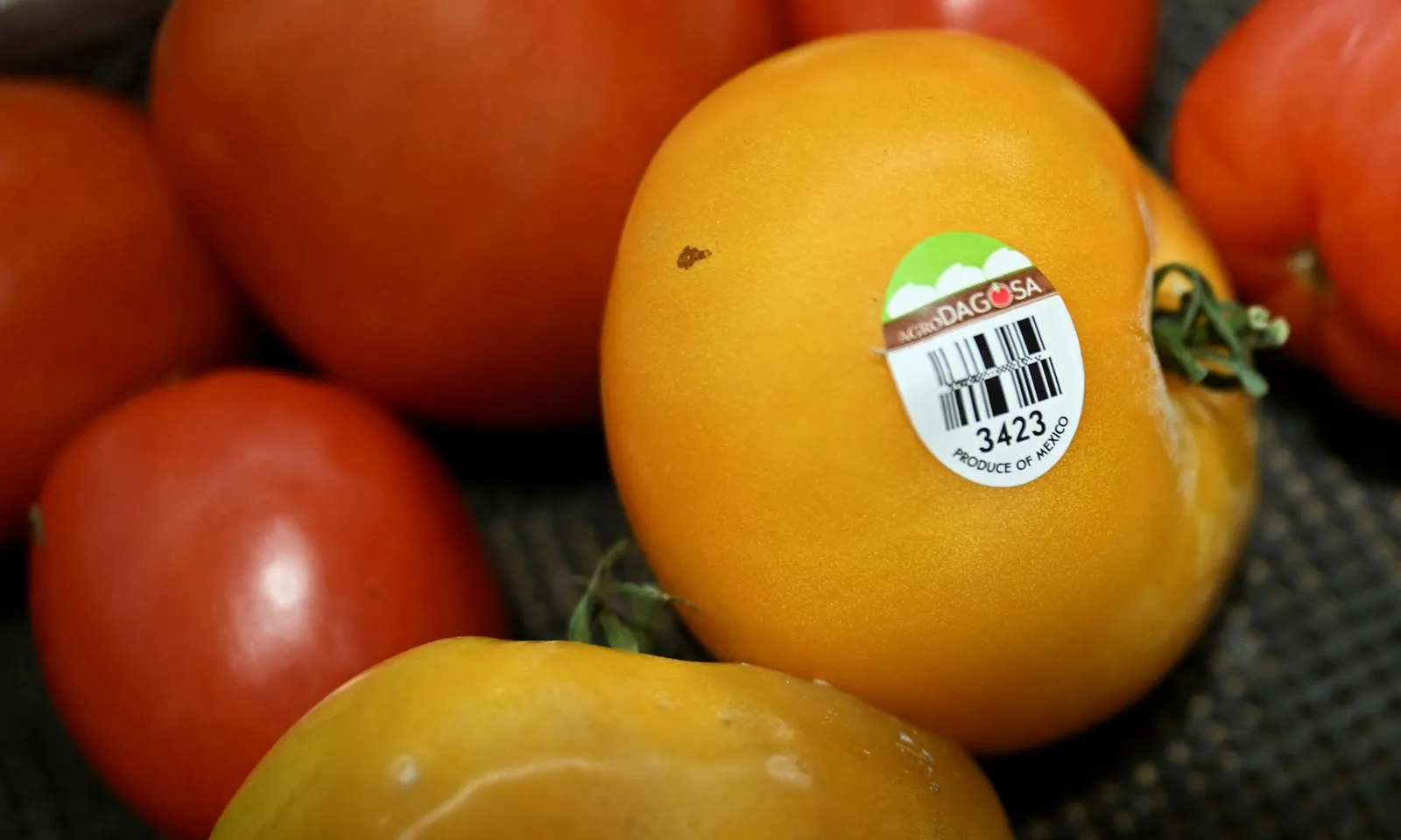 Mỹ áp thuế 17% đối với cà chua Mexico