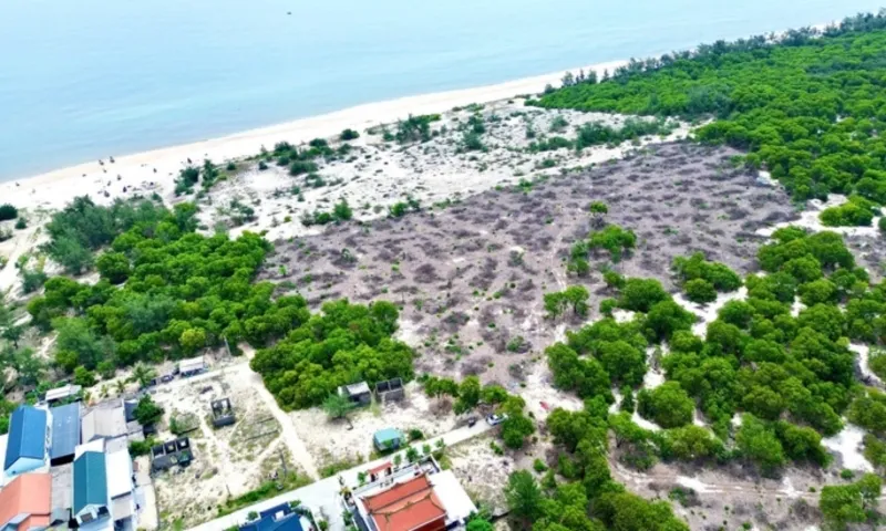 Báo cáo Thủ tướng vụ phá rừng phòng hộ trái phép