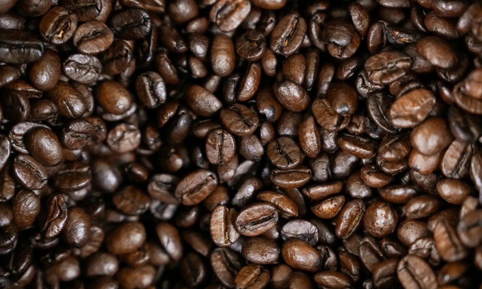 Thương nhân chạy đua đưa cà phê Brazil vào Mỹ trước khi bị áp thuế 50%