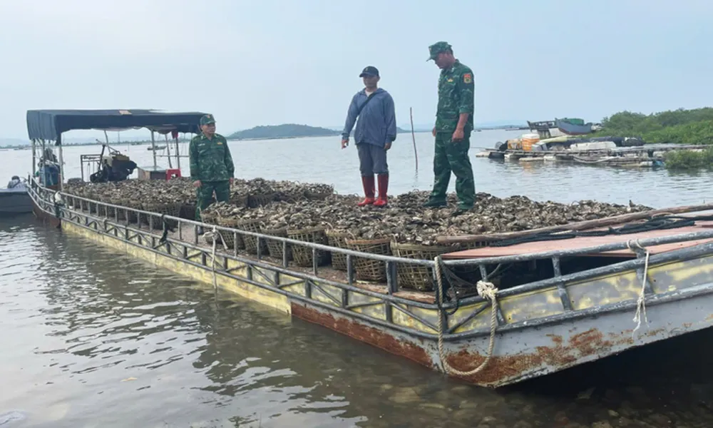 Dùng bè mảng vận chuyển 4 tấn hàu trái phép qua biên giới 