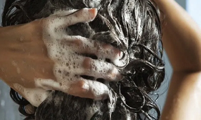gội đầu thu hồi dầu gội đầu