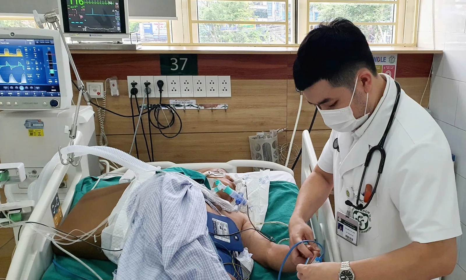 Người đàn ông nguy kịch vì dùng thuốc lá chữa rắn hổ mang cắn