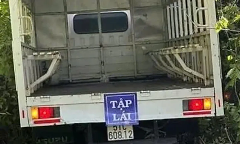 Xe tải tập lái gây tai nạn chết người