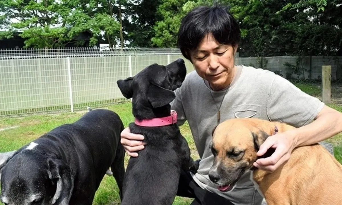 00b5c2db0e73df676f06214e5e2e72-3248-3620-1752673198