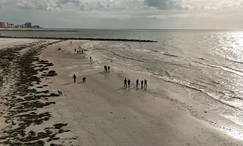 Các bãi biển ở Florida và quanh Bờ Vịnh đang khiến cư dân dễ bị nhiễm vi khuẩn Vibrio vulnificus Ảnh Getty Images