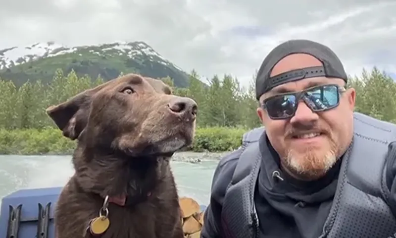 Chú chó được cứu thoát khỏi Alaska sau 9 ngày nơi hoang dã