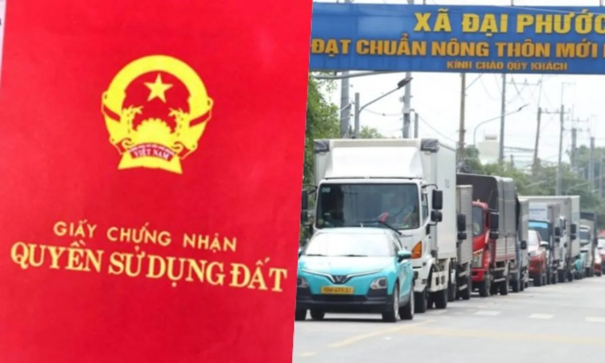 Điểm tin trưa 18/7: Thời gian cấp sổ hồng lần đầu không quá 20 ngày | Phà Cát Lái chạy hết công suất