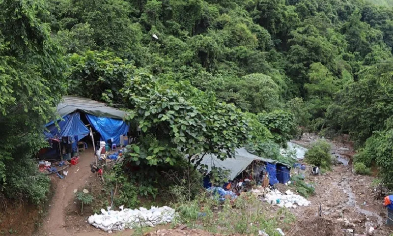 Sơn La: Bắt giữ gần 60 đối tượng khai thác vàng trái phép trong rừng sâu