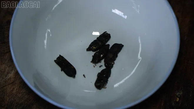 1807-sau-ban-mieu-rang