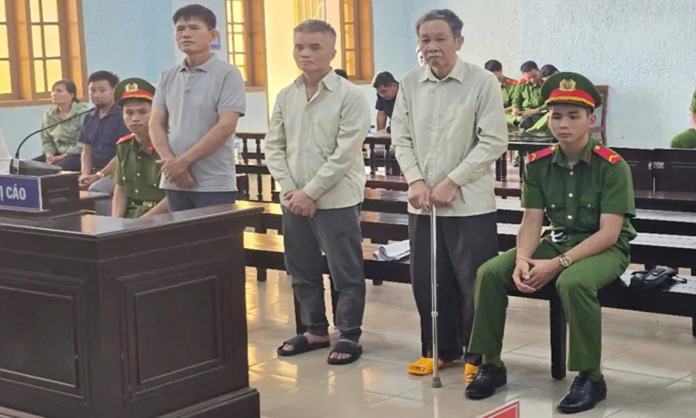 Hai lần kháng cáo bất thành, Chủ tịch công ty nhận án tù vì phá rừng