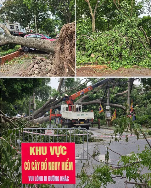 Các khu vực có cây xanh gãy đổ ở Hà Nội