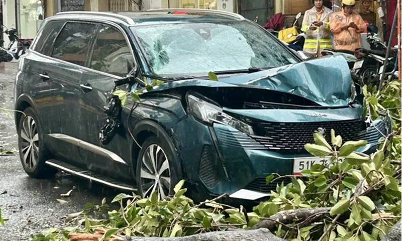 TPHCM mưa dông lớn giữa trưa, cây xanh ngã đổ nhiều nơi