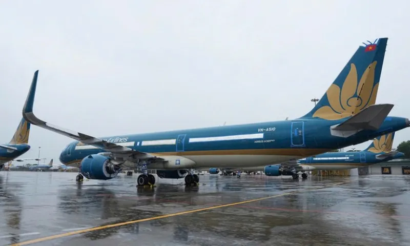 bao-so-3 (2)
