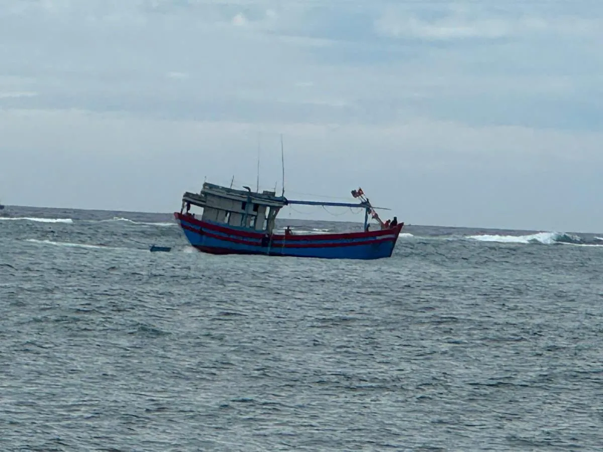 tau-ca-105312_346-121446