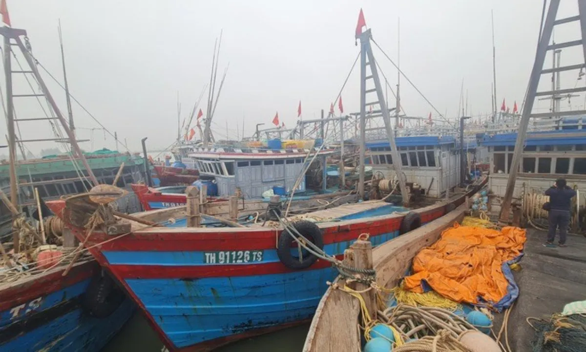 tau-thuyen-cua-ngu-dan-thanh-hoa-neo-dau-o-cang-hoi-phuong-sam-son-17530140038711049206628