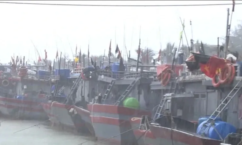 Thanh Hóa cấm biển từ 8h, Hưng Yên khẩn cấp di dời