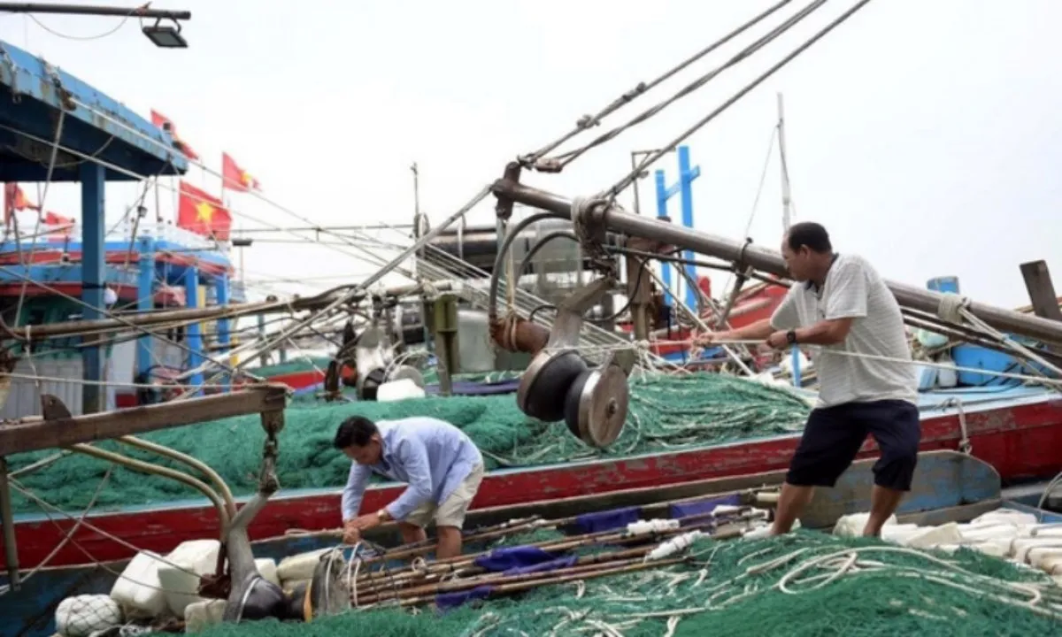 Hải Phòng, Quảng Ninh, Ninh Bình cấp tập ứng phó bão số 3