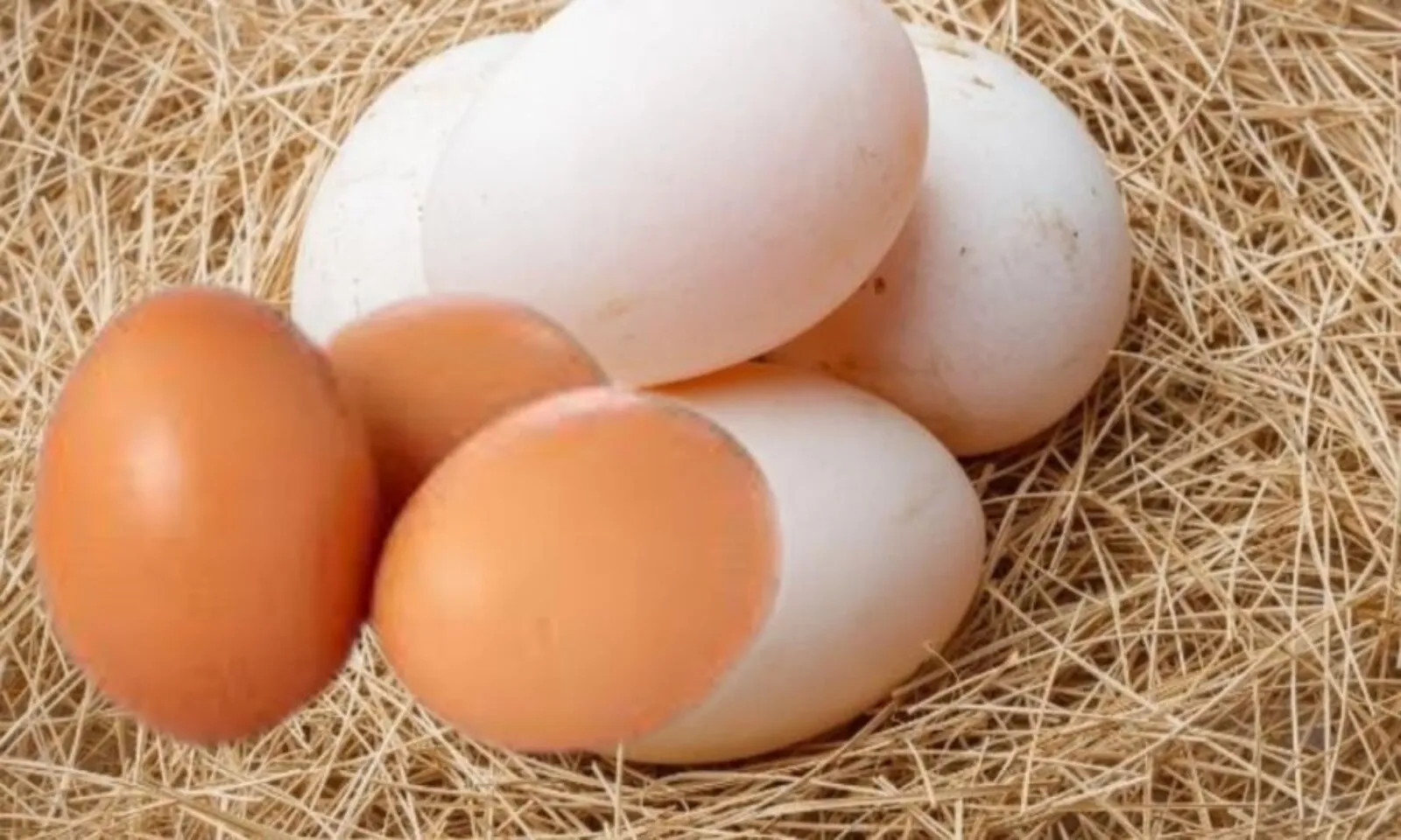 Những lợi ích của trứng đối với sức khỏe